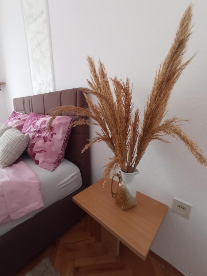 Apartman Maja トレビニエ エクステリア 写真